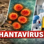 Hantavirus
